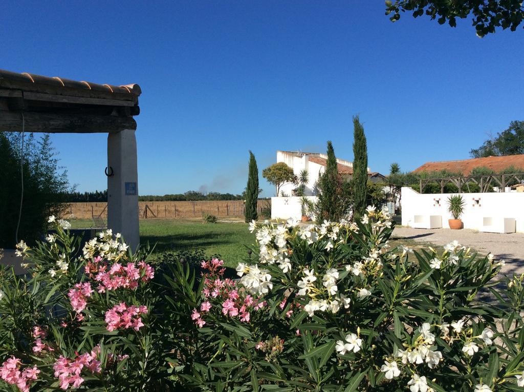 Terre De Boheme Hotel Vestric-et-Candiac Bagian luar foto