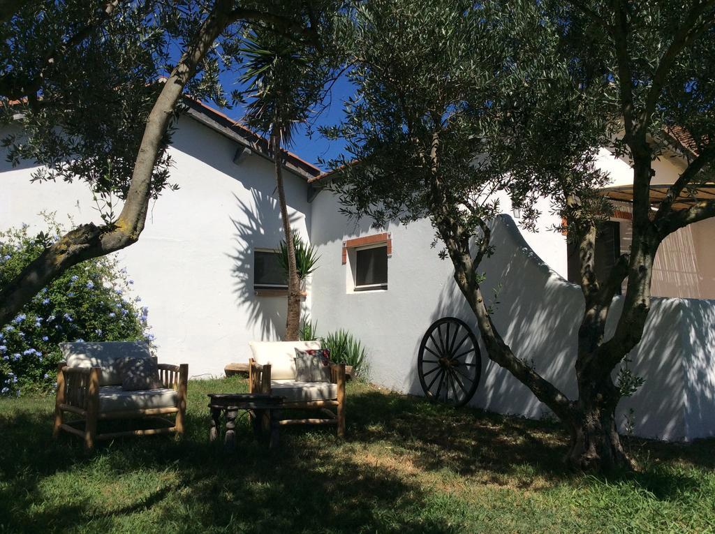Terre De Boheme Hotel Vestric-et-Candiac Bagian luar foto