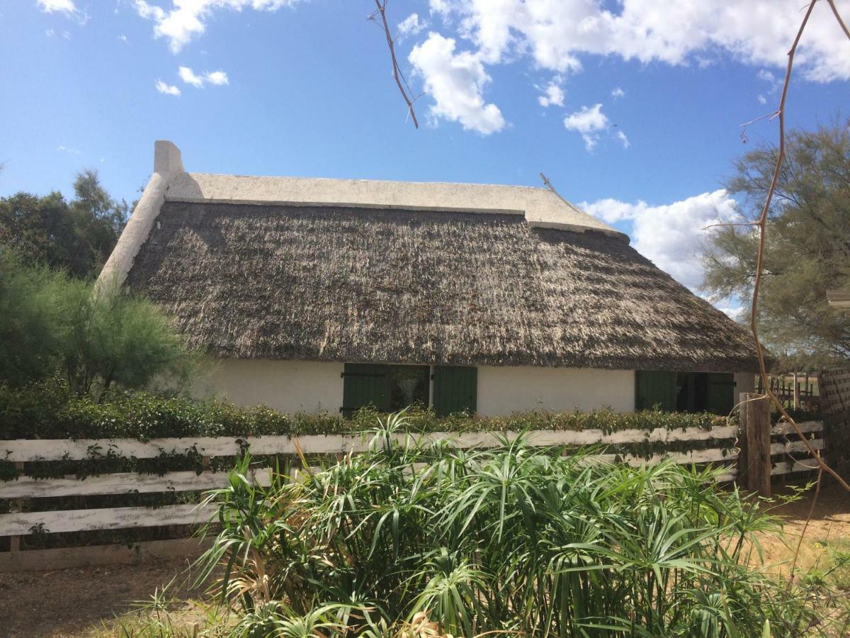 Terre De Boheme Hotel Vestric-et-Candiac Bagian luar foto
